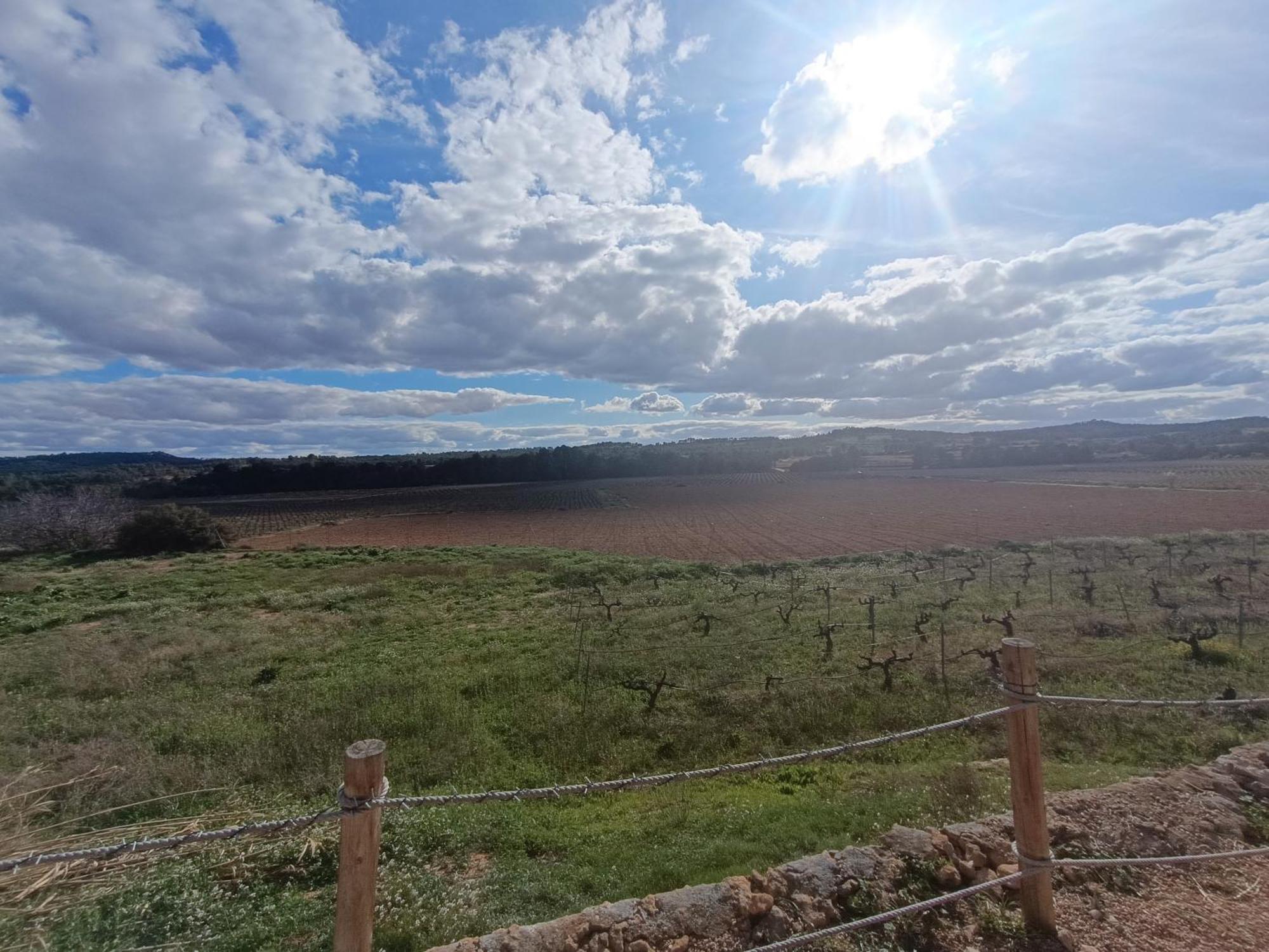 Casa Rural Alegria Caudete de las Fuentes Экстерьер фото